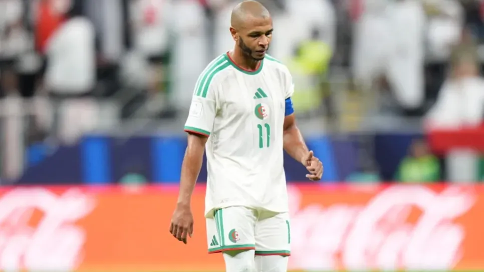 d_6ce74f50bb09f86f26beb8b2a2ca0321